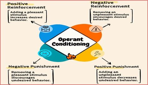 Is operant conditioning a theory?