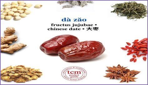 What is Fructus Jujubae?